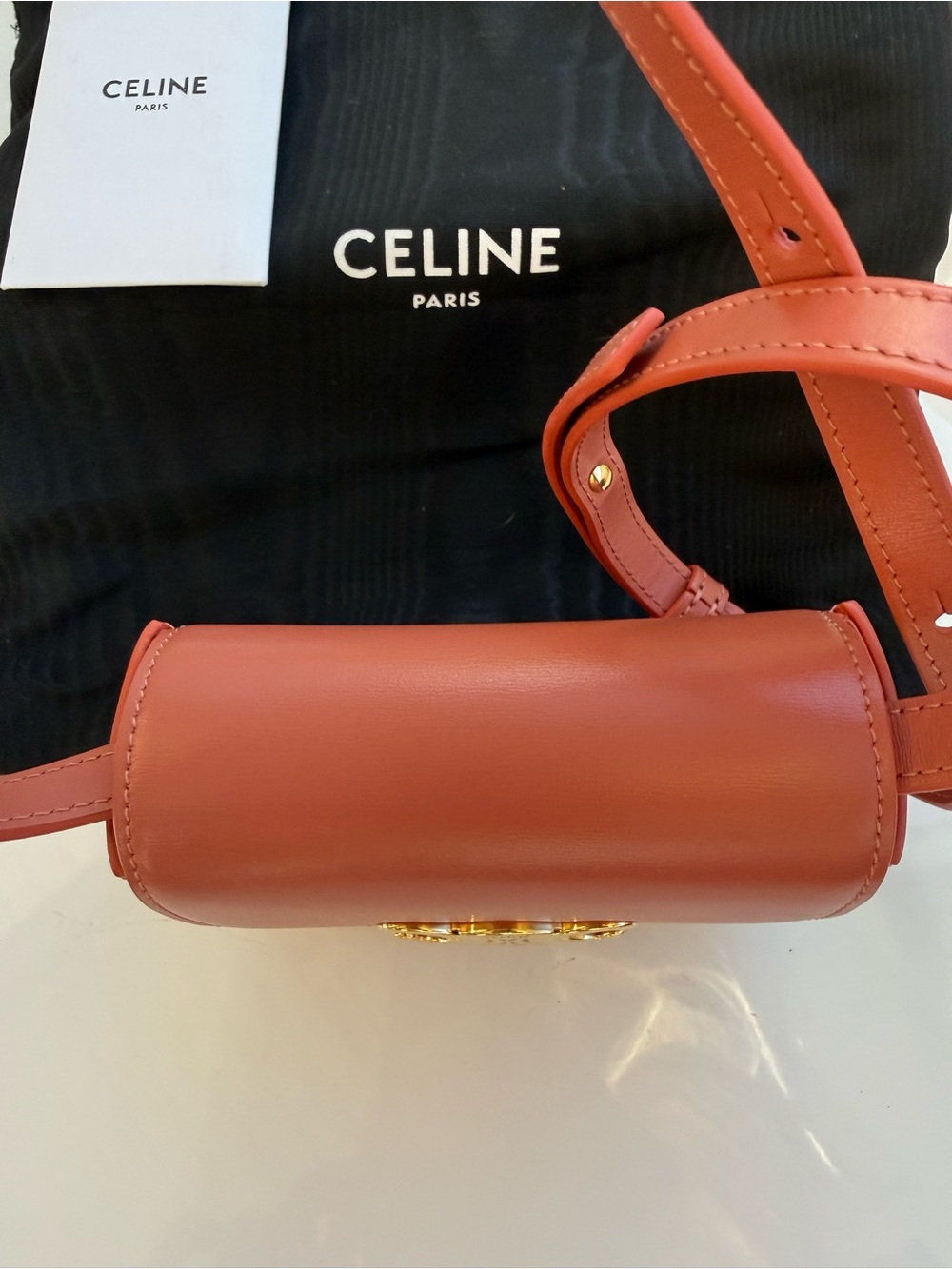 Celine Coral Triomphe Mini Crossbody Bag with Gold Hardware - Picture 3 of 6